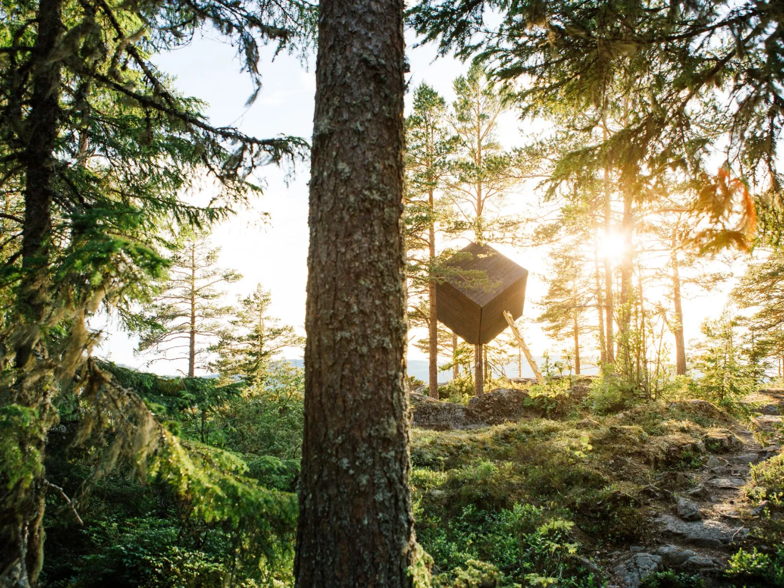 The Tree Cube