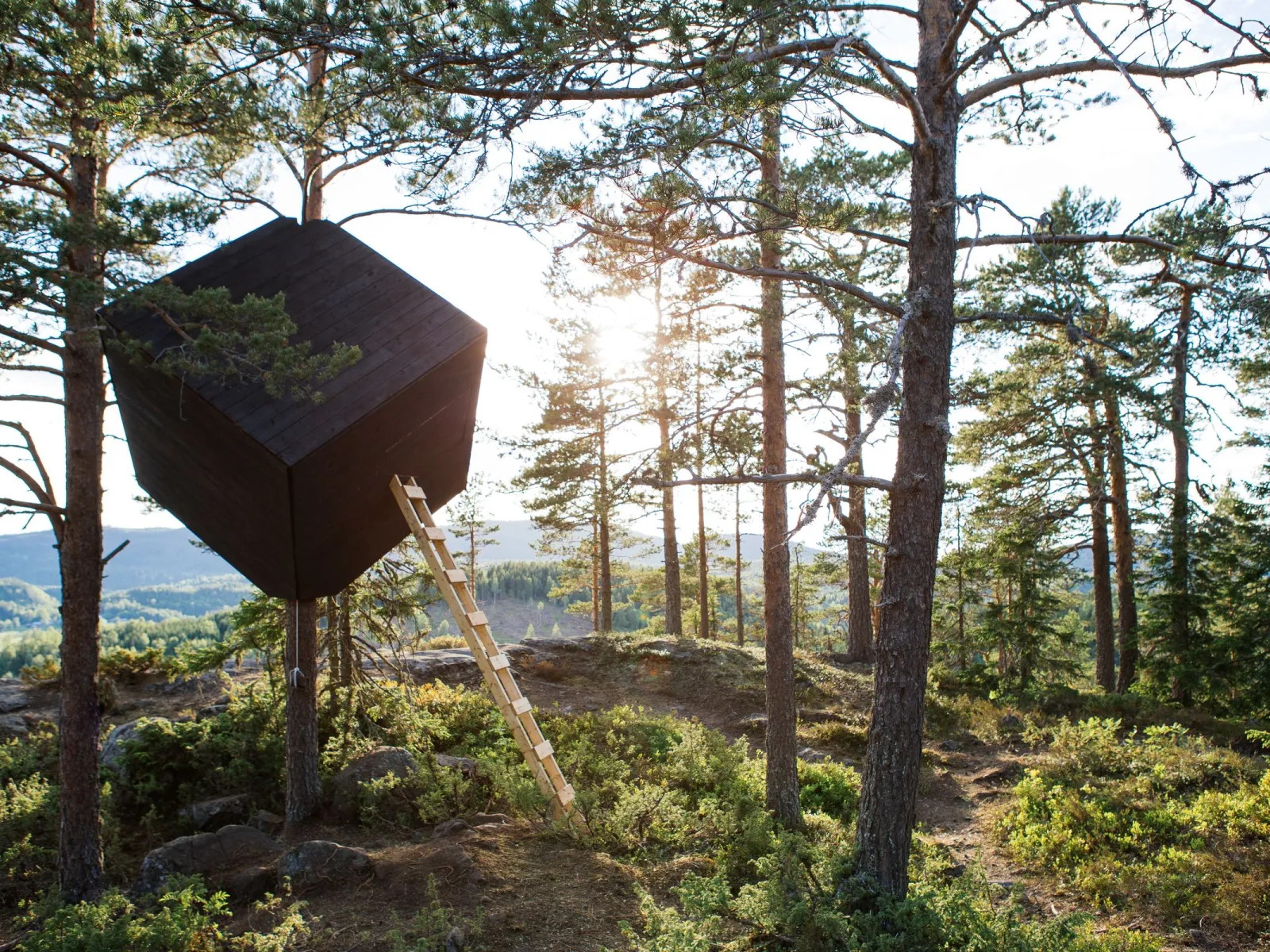 The Tree Cube