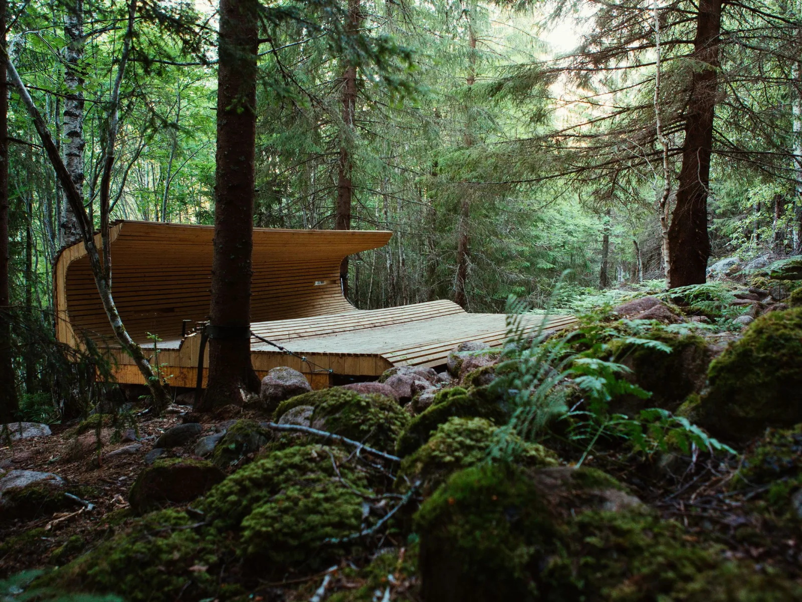 Forest Cradle