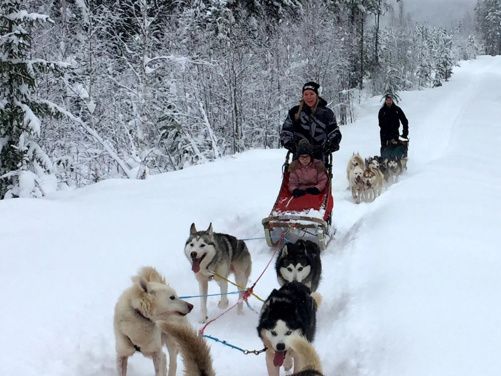 Activities at Farm Backsjön in Ådalen