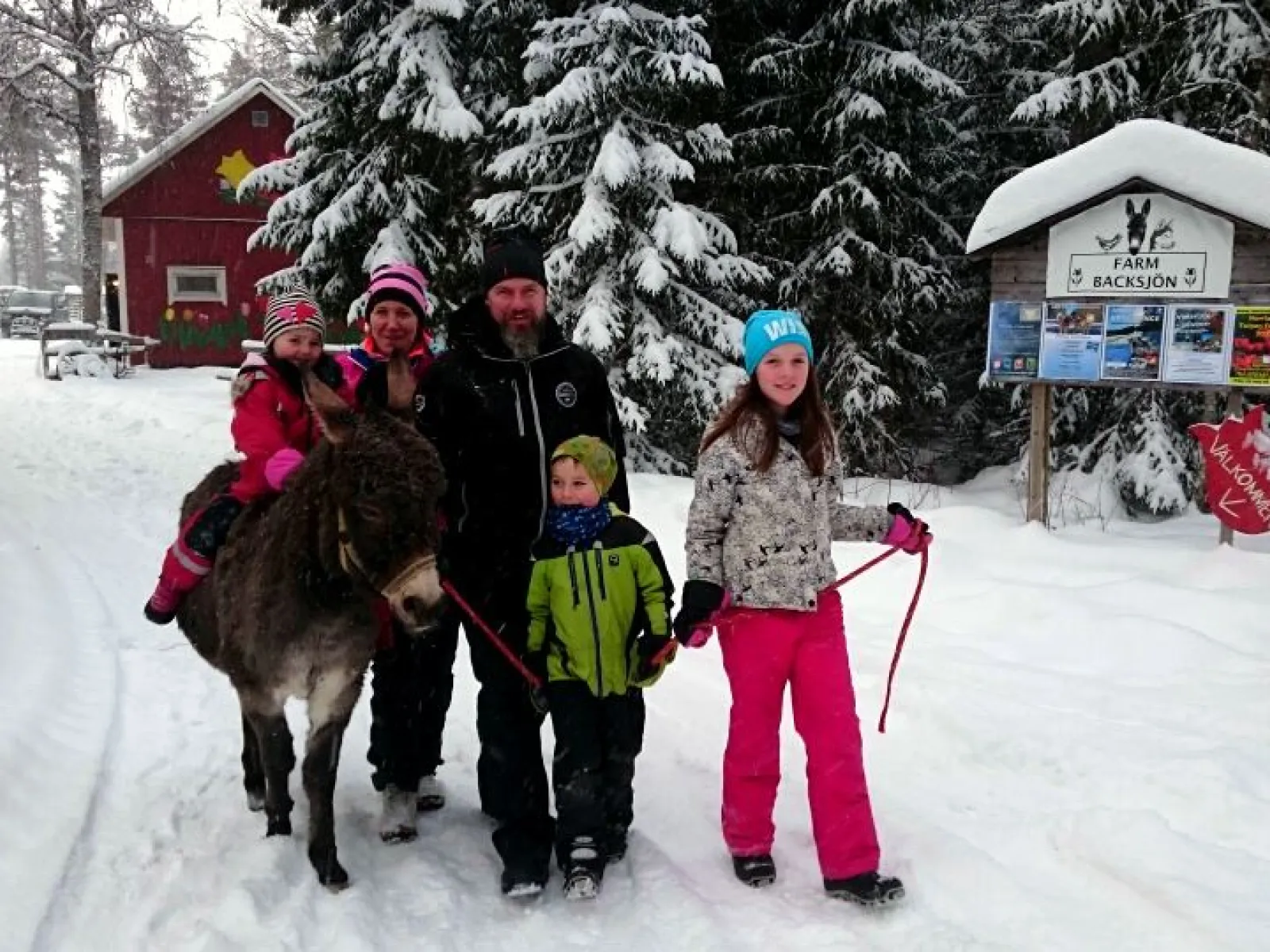 Activities at Farm Backsjön in Ådalen