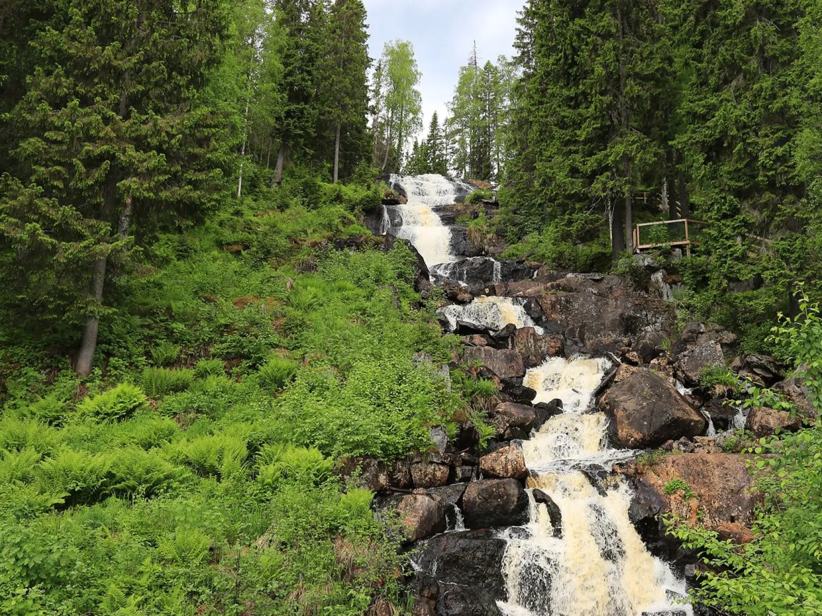 Västanåfallet Nature Reserve