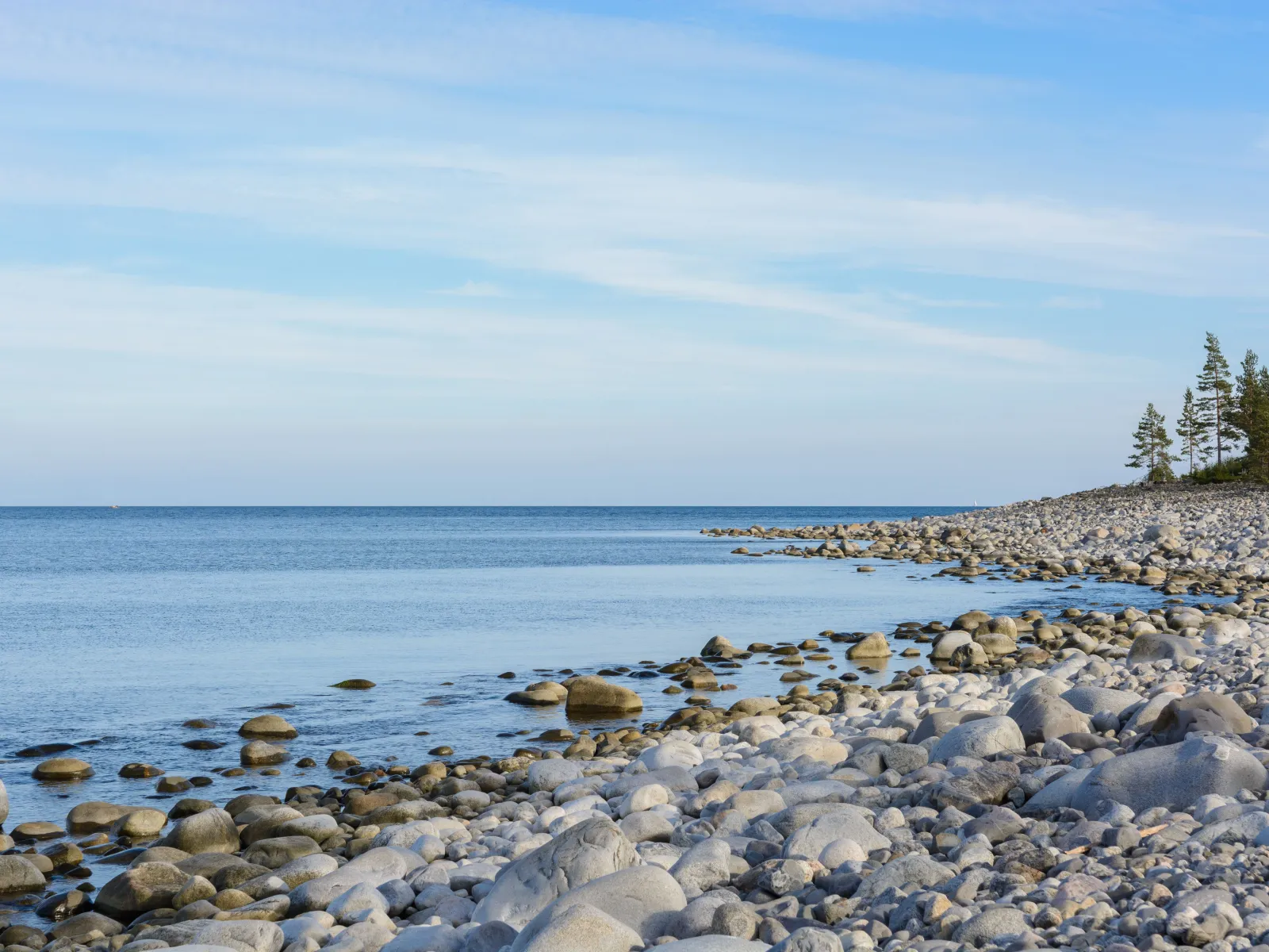 Sälsten