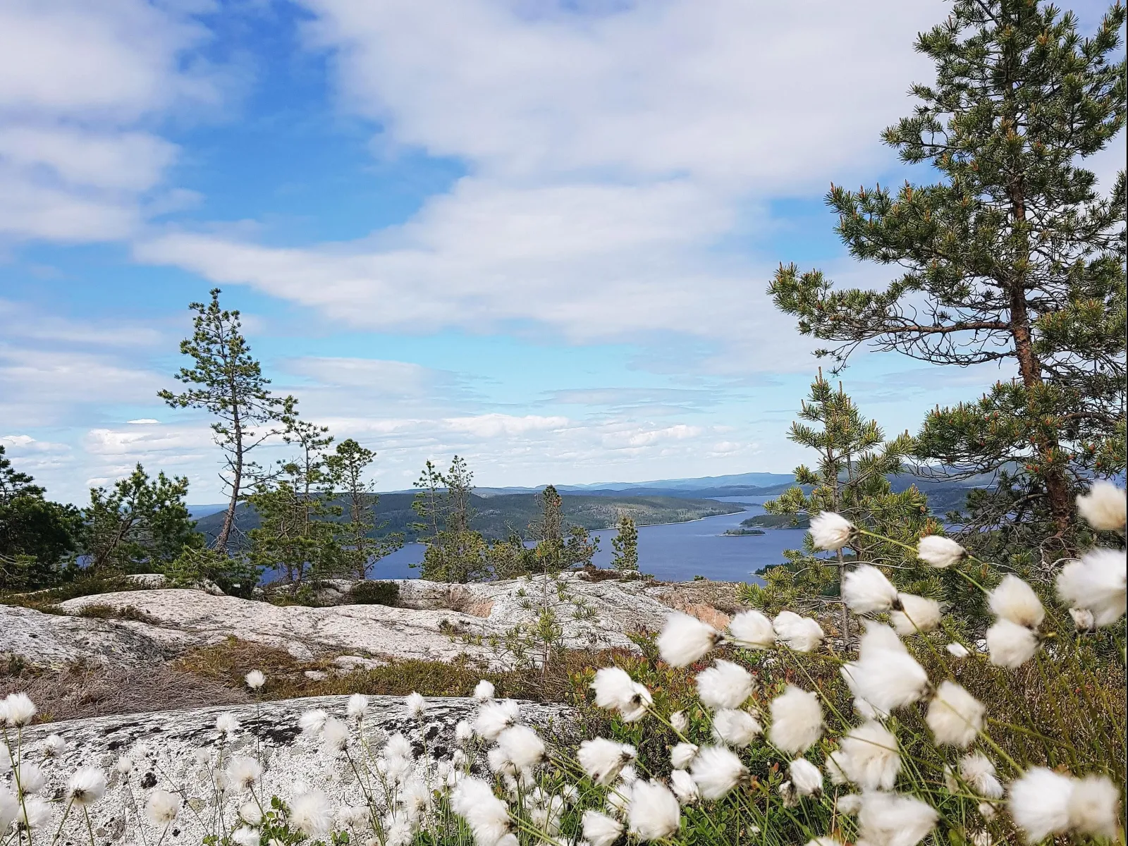 Hultomsberget 