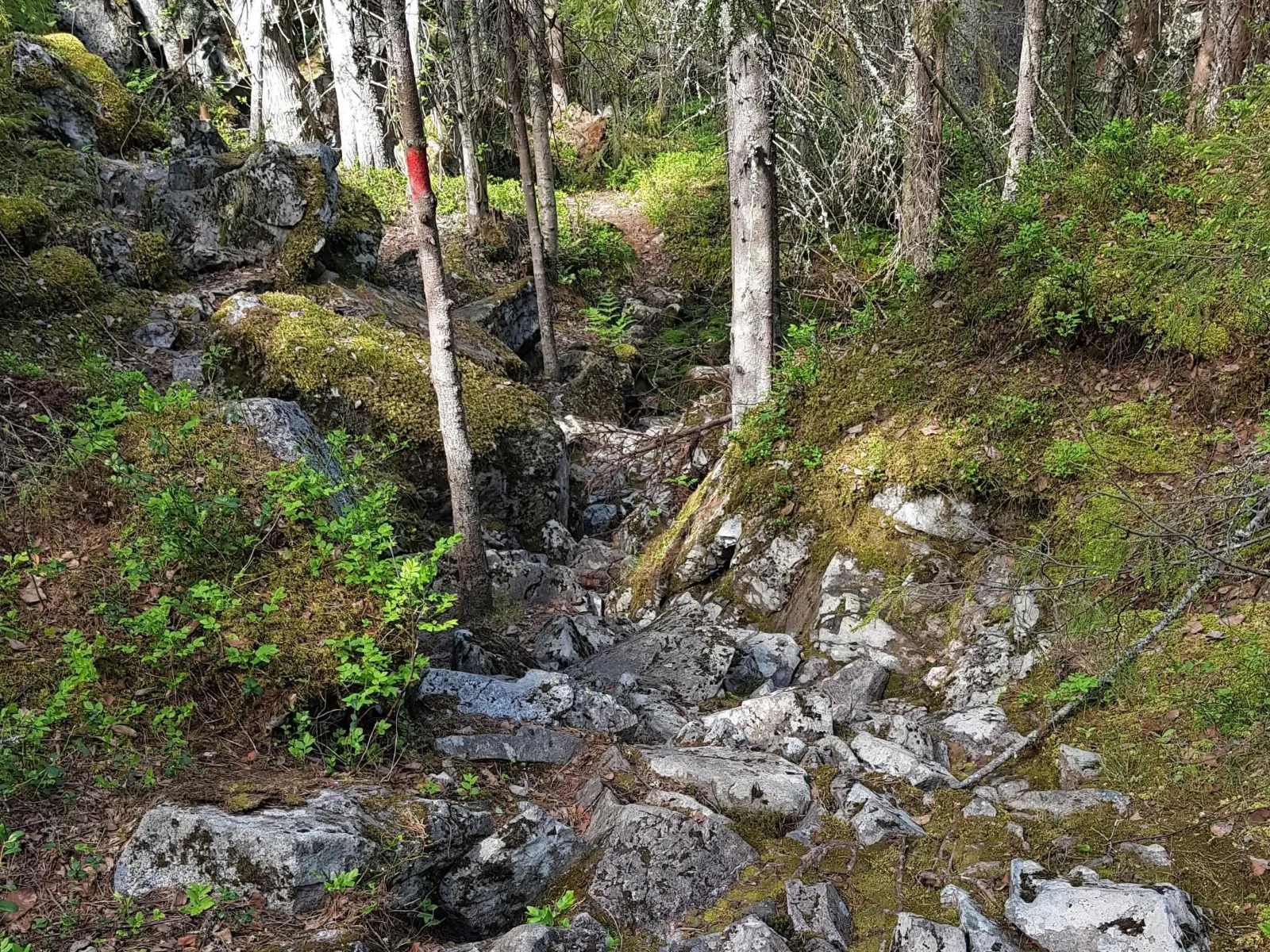 Hultomsberget 