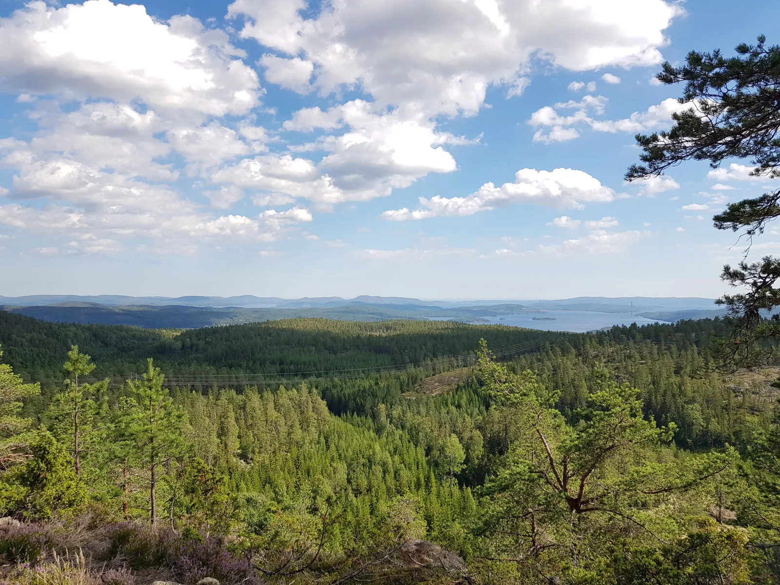 Tuäggenberget