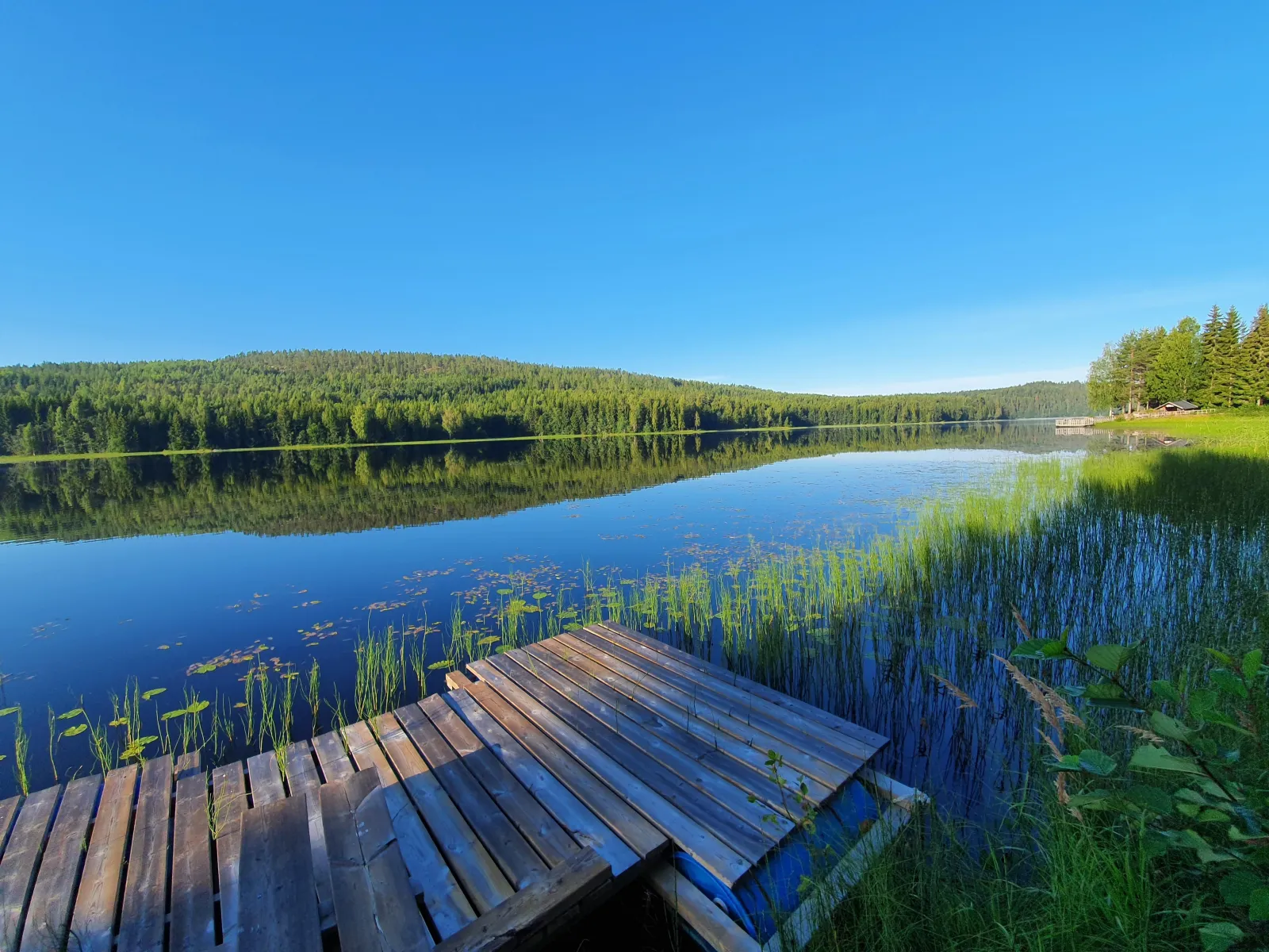 Fiskevårdsföreningen Öringen