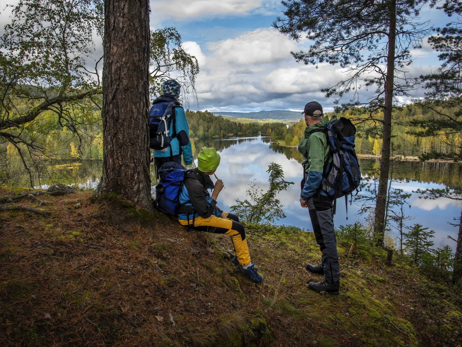 Granvågsniporna