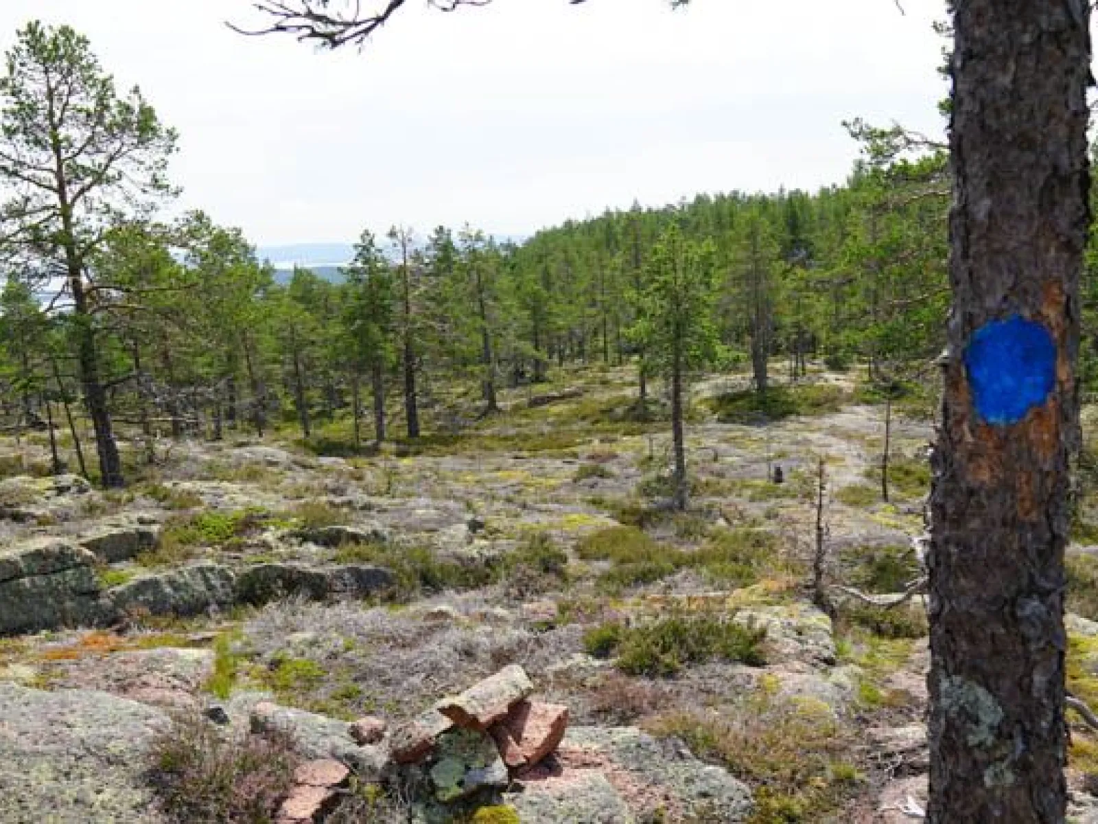 Hummelvik
