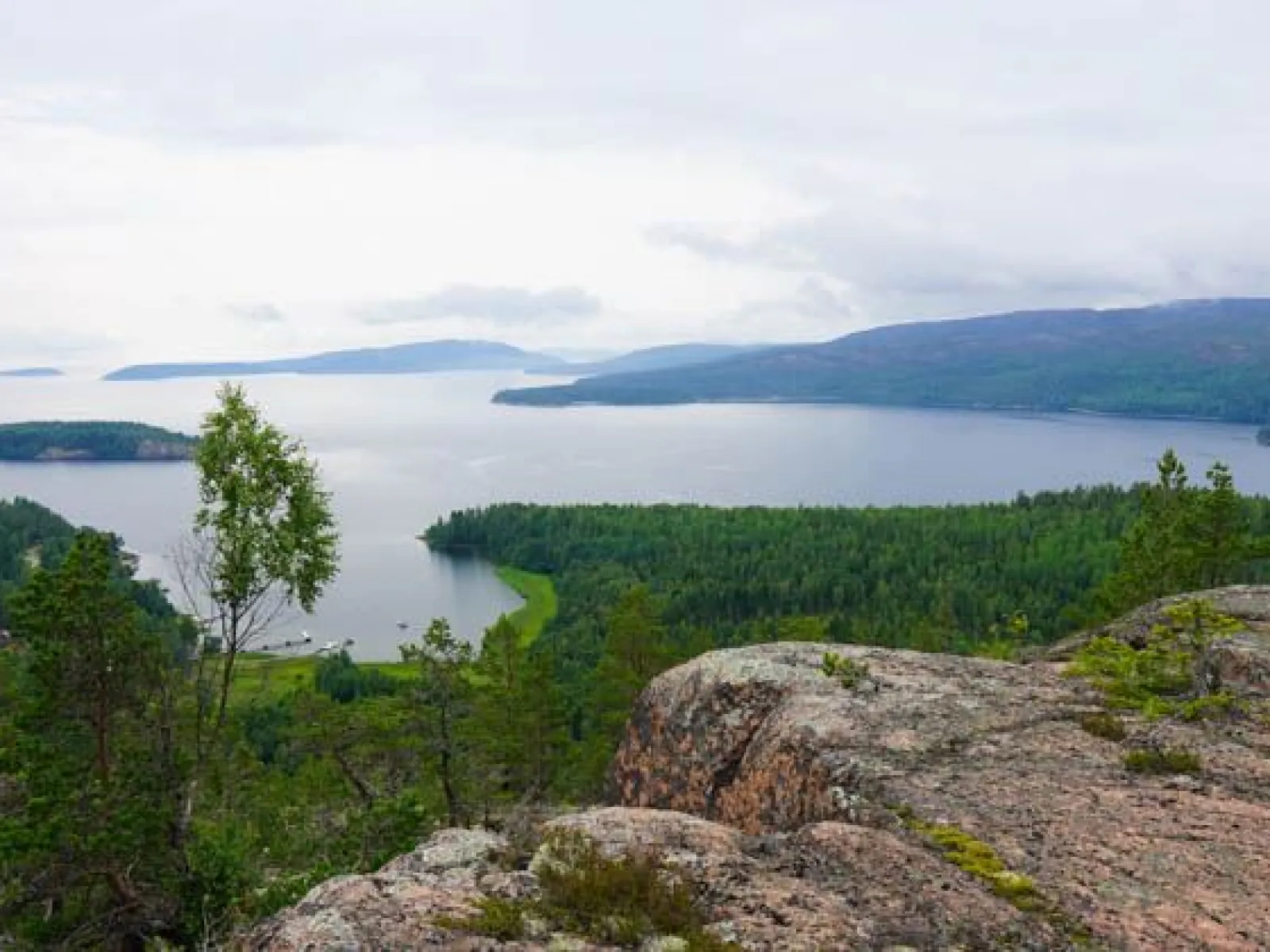 Hummelvik