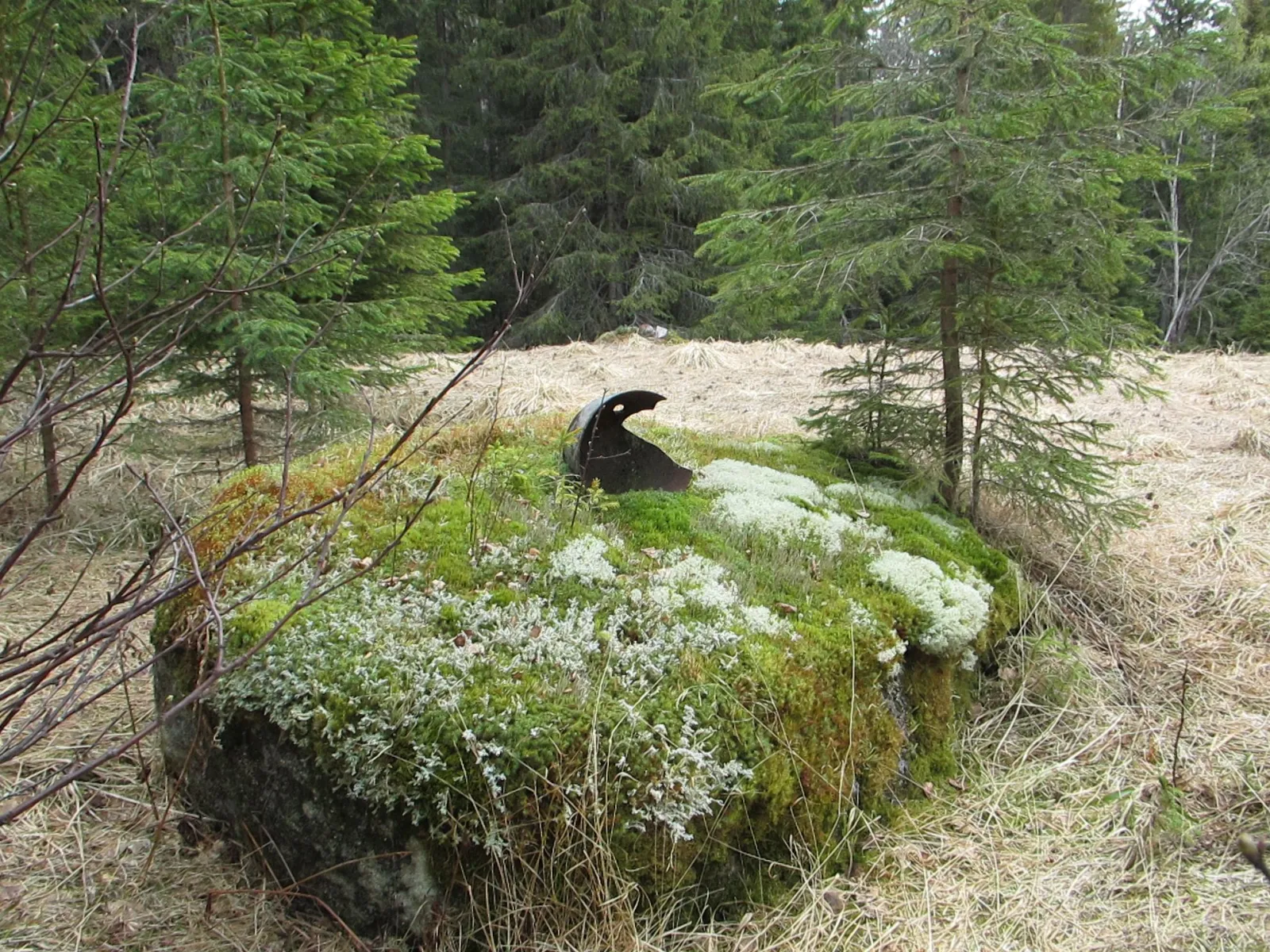  Finnforsleden