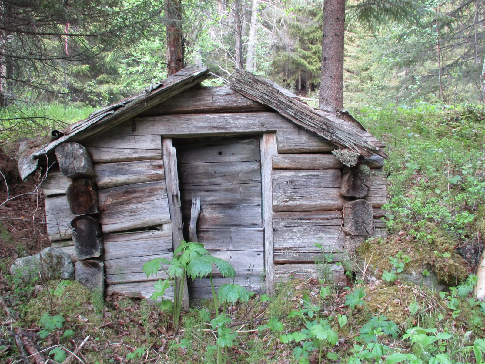  Finnforsleden