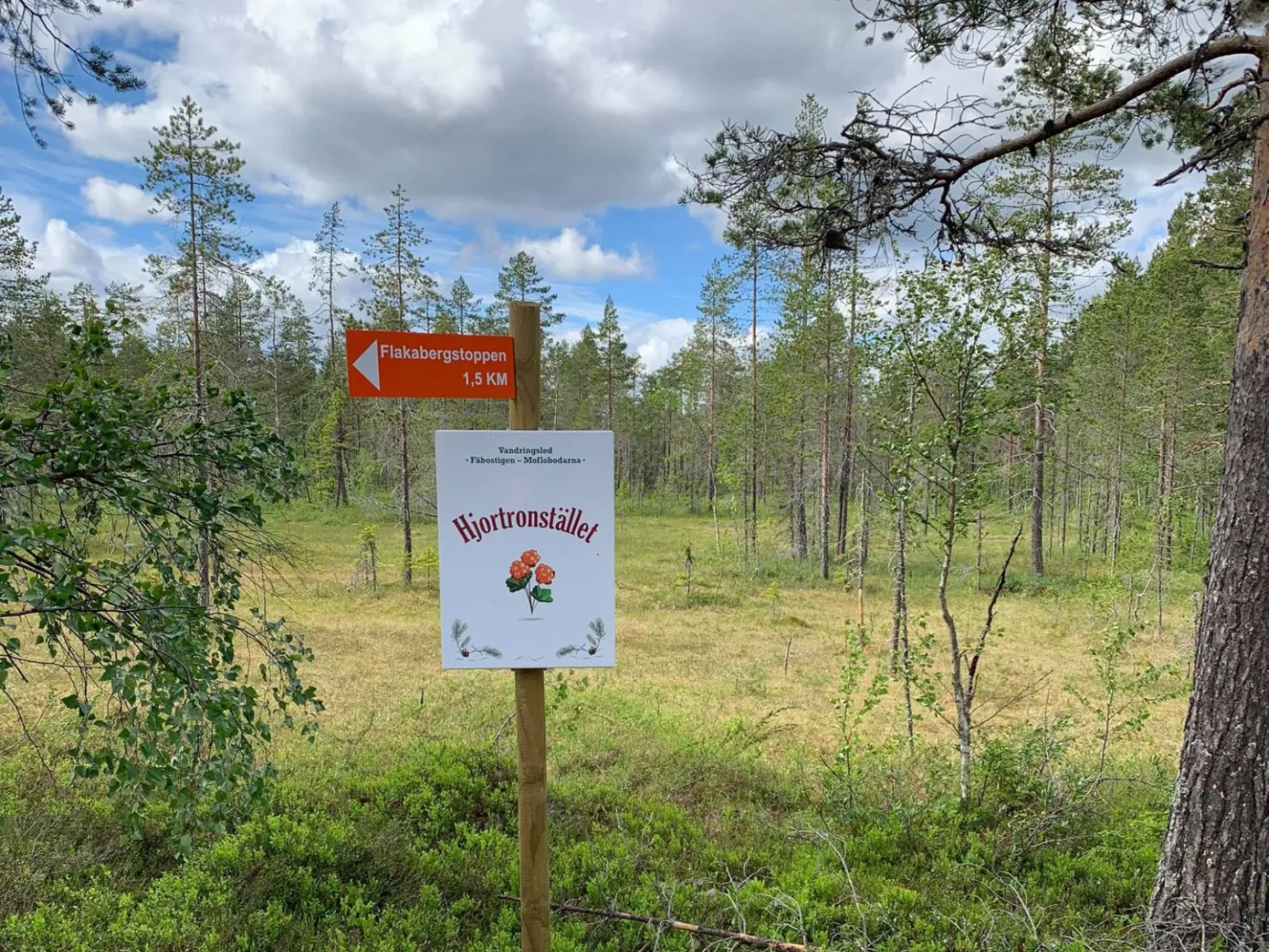 Fäbostigen