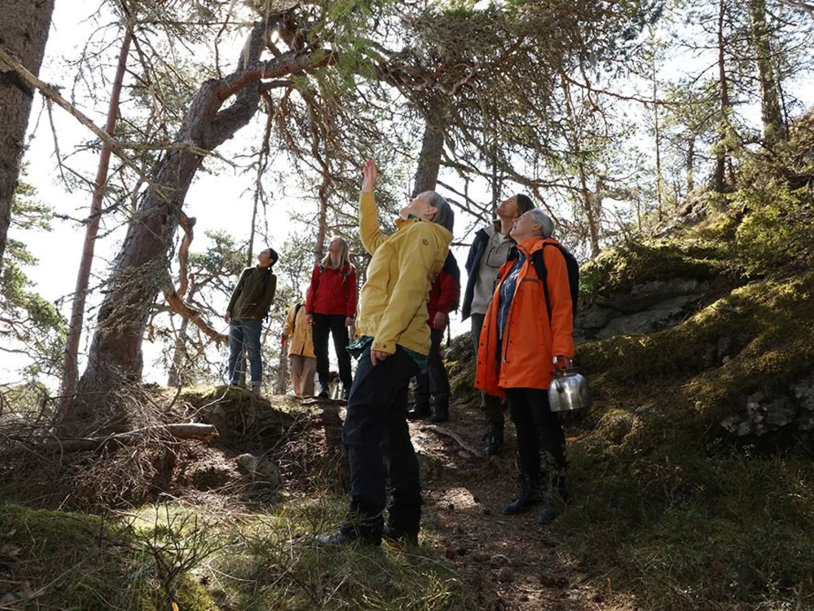 Halvdagsguidningar på Hemsön