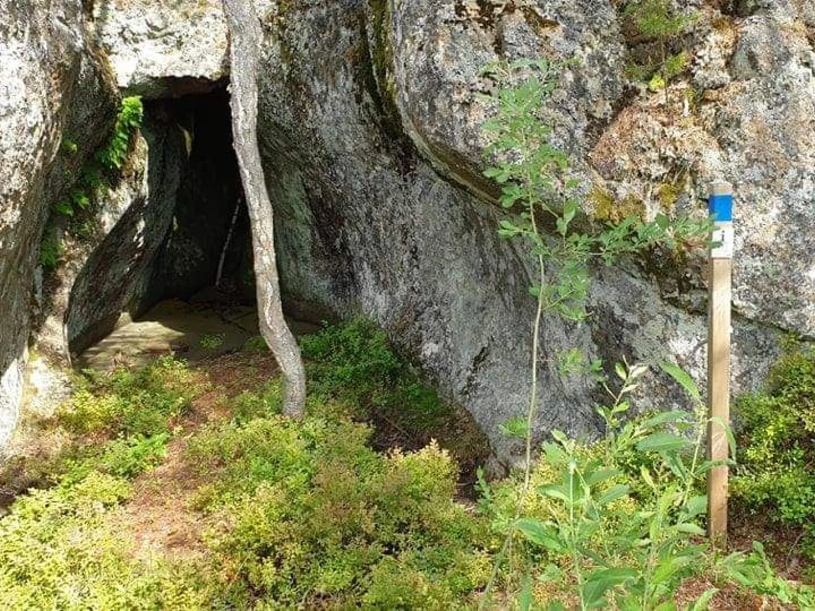 Arnäsleden