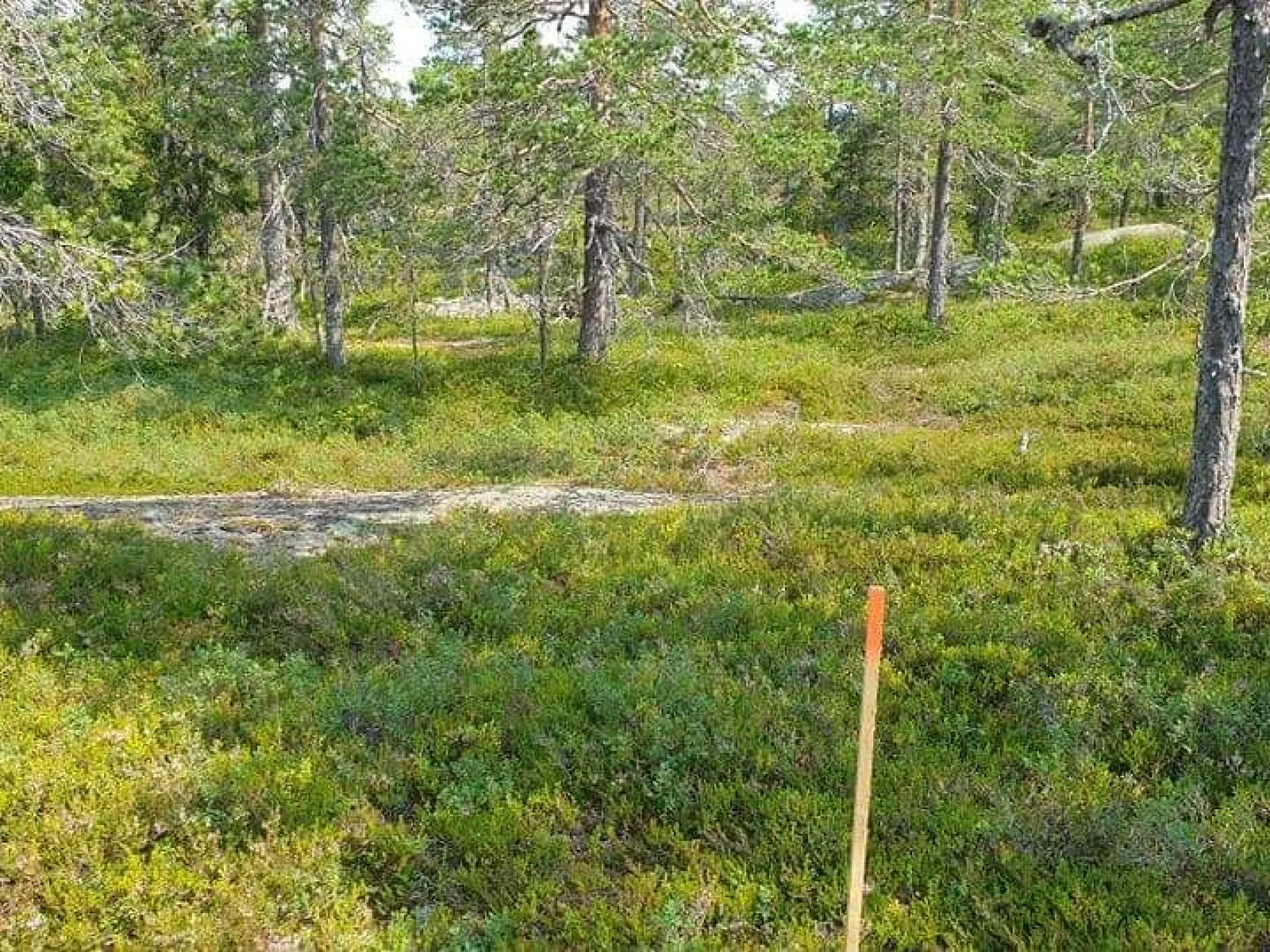 Slåttberget
