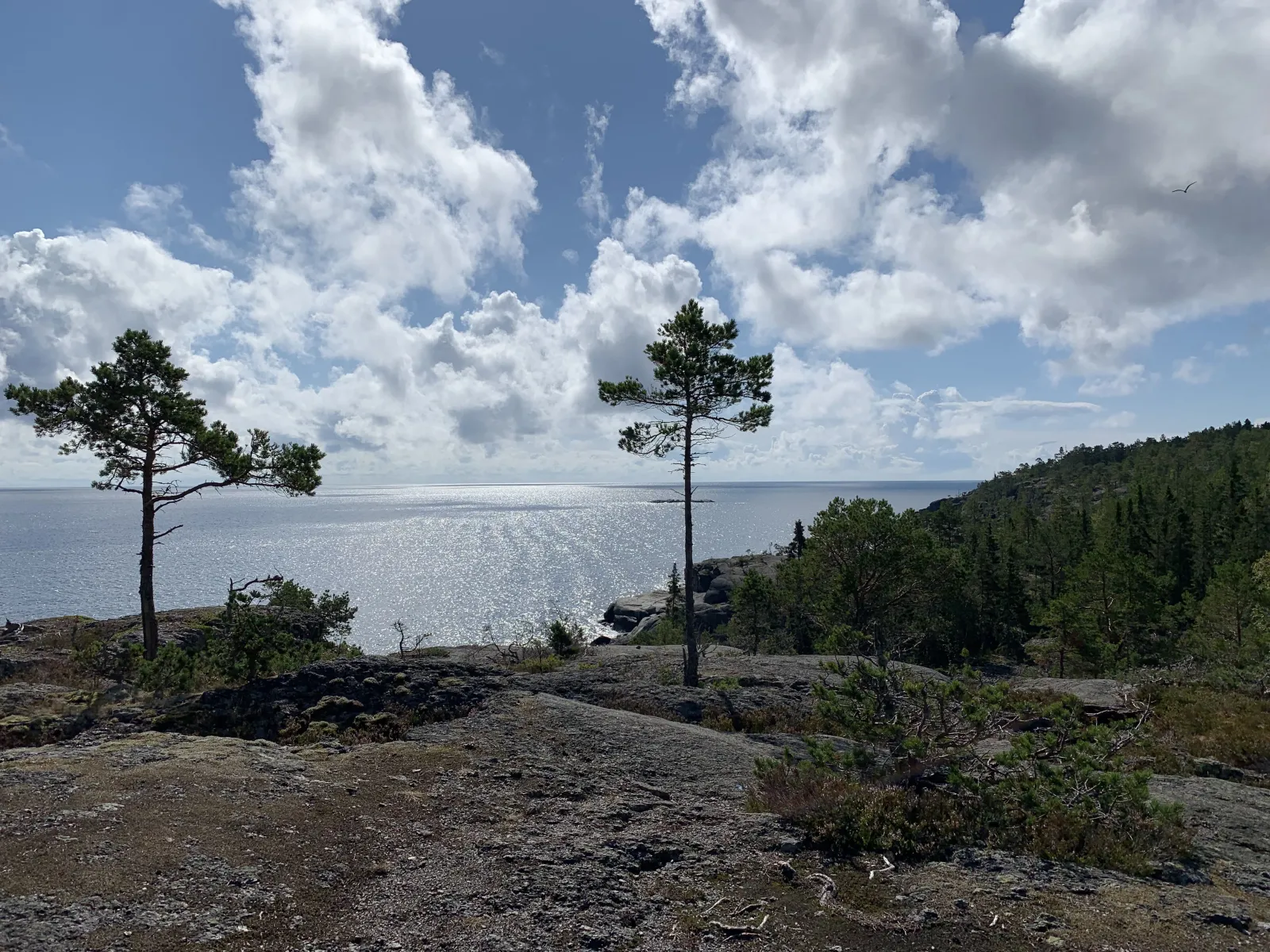 Blue Trail - Bönhamn