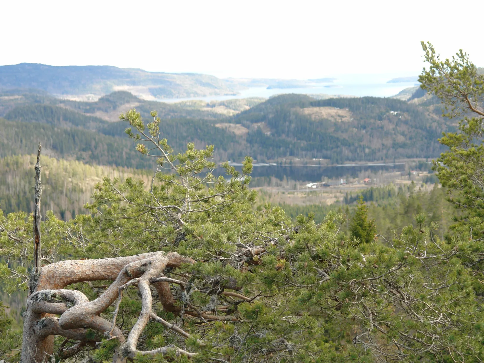 Dalsberget