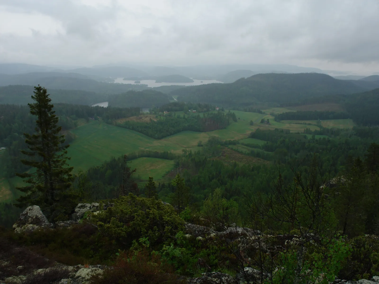 Dalsberget