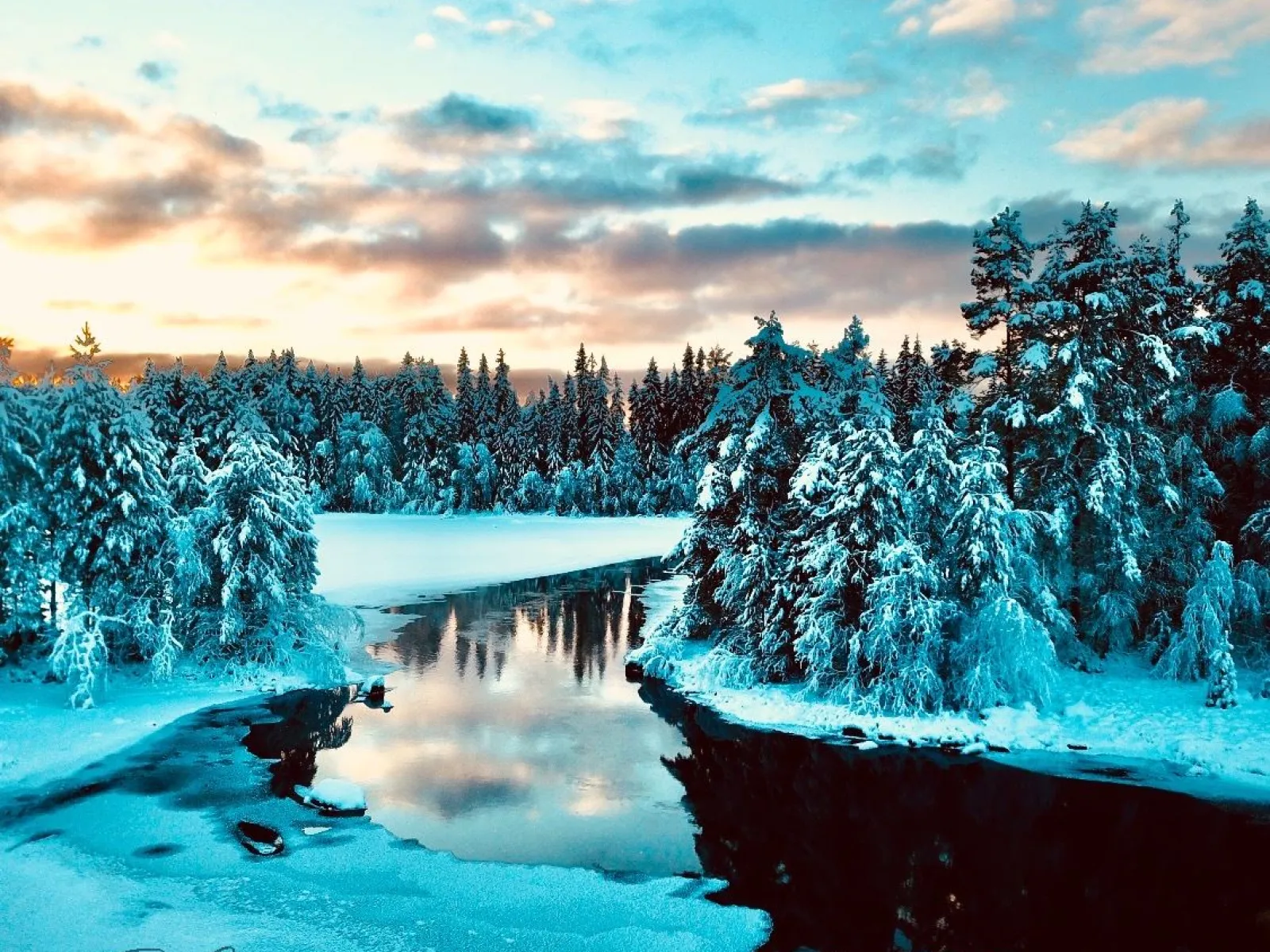 Winter Glamping in the High Coast