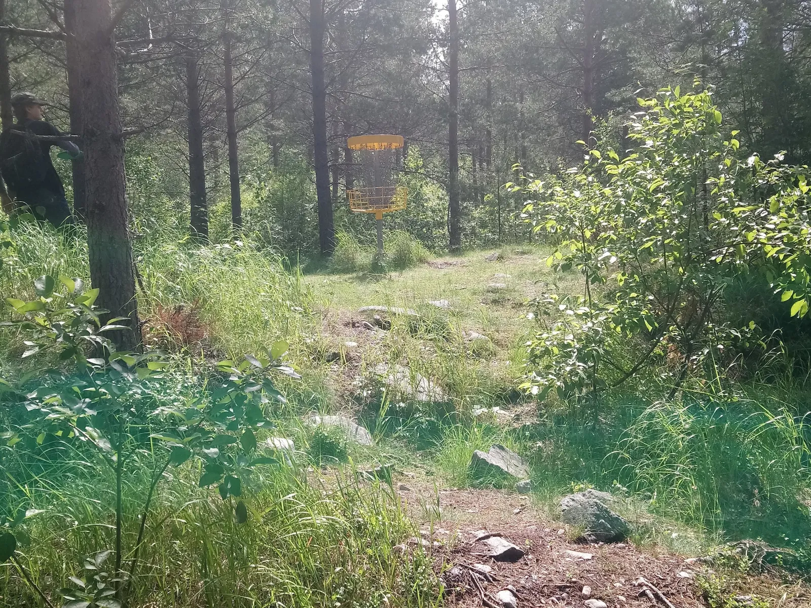 Spela discgolf i världsarvet
