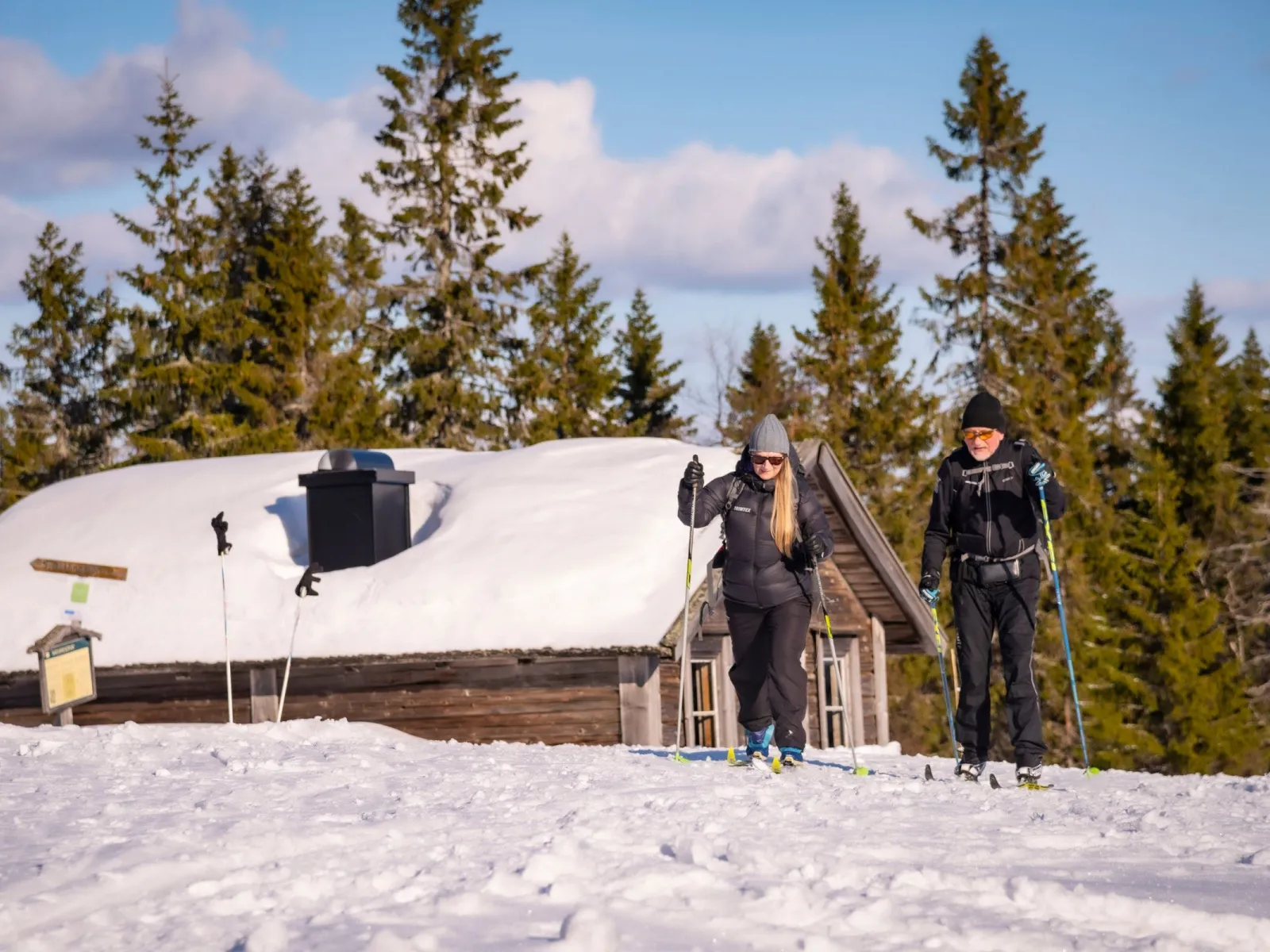 Nätra fjällskog