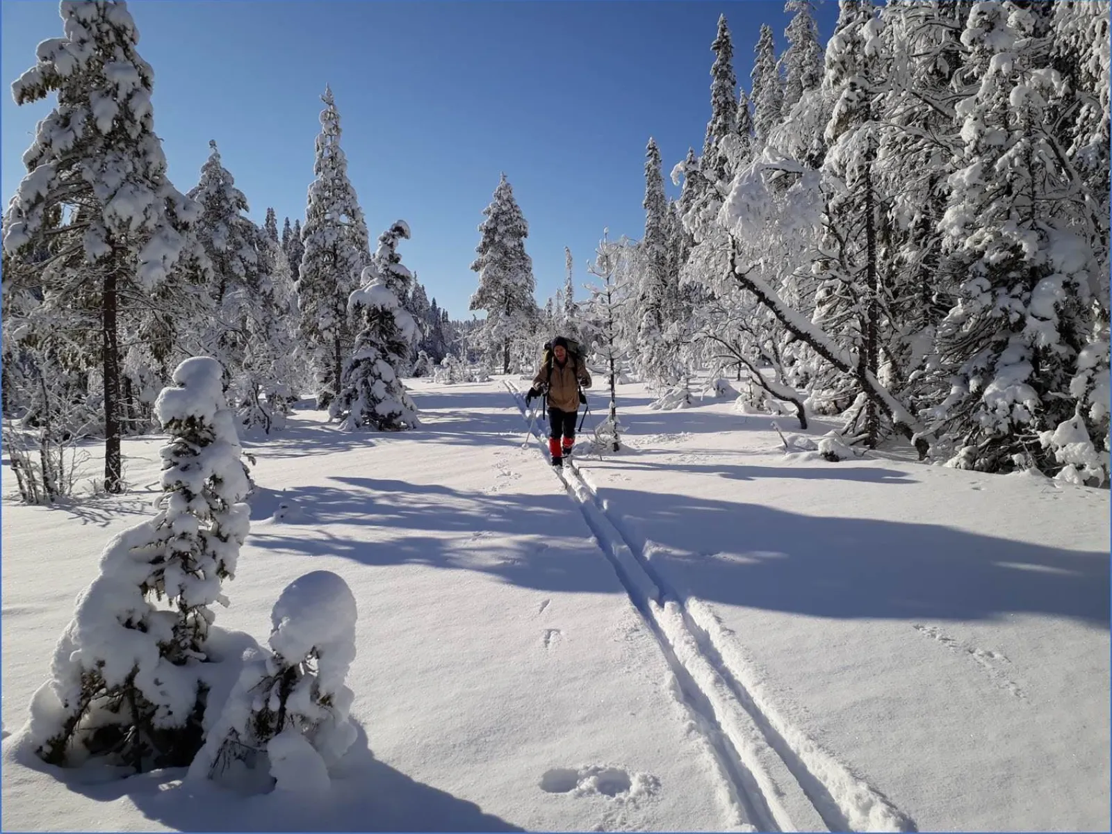 Skuleskogens Nationalpark