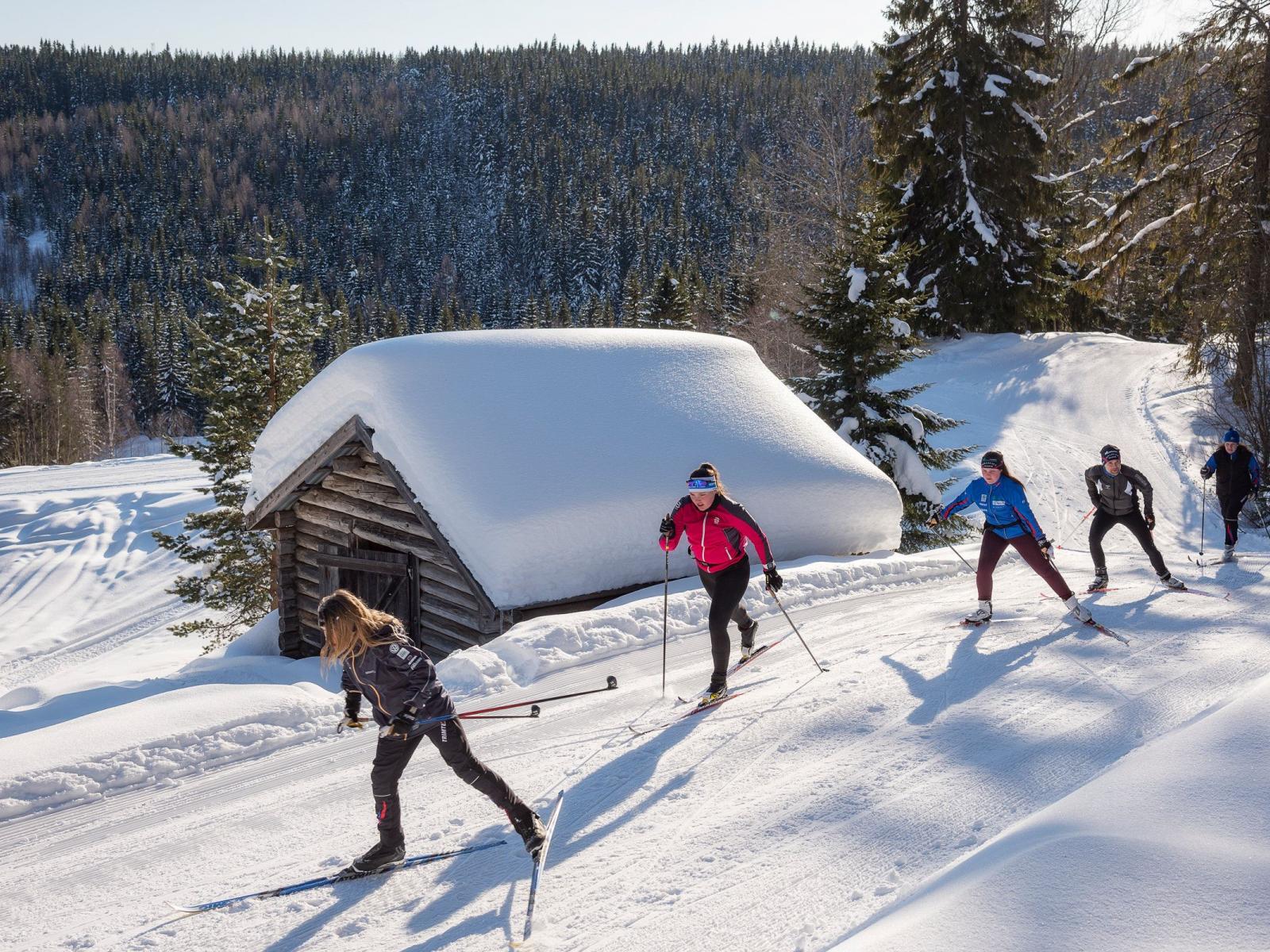 Hallsta Ski - activities at Hallstaberget