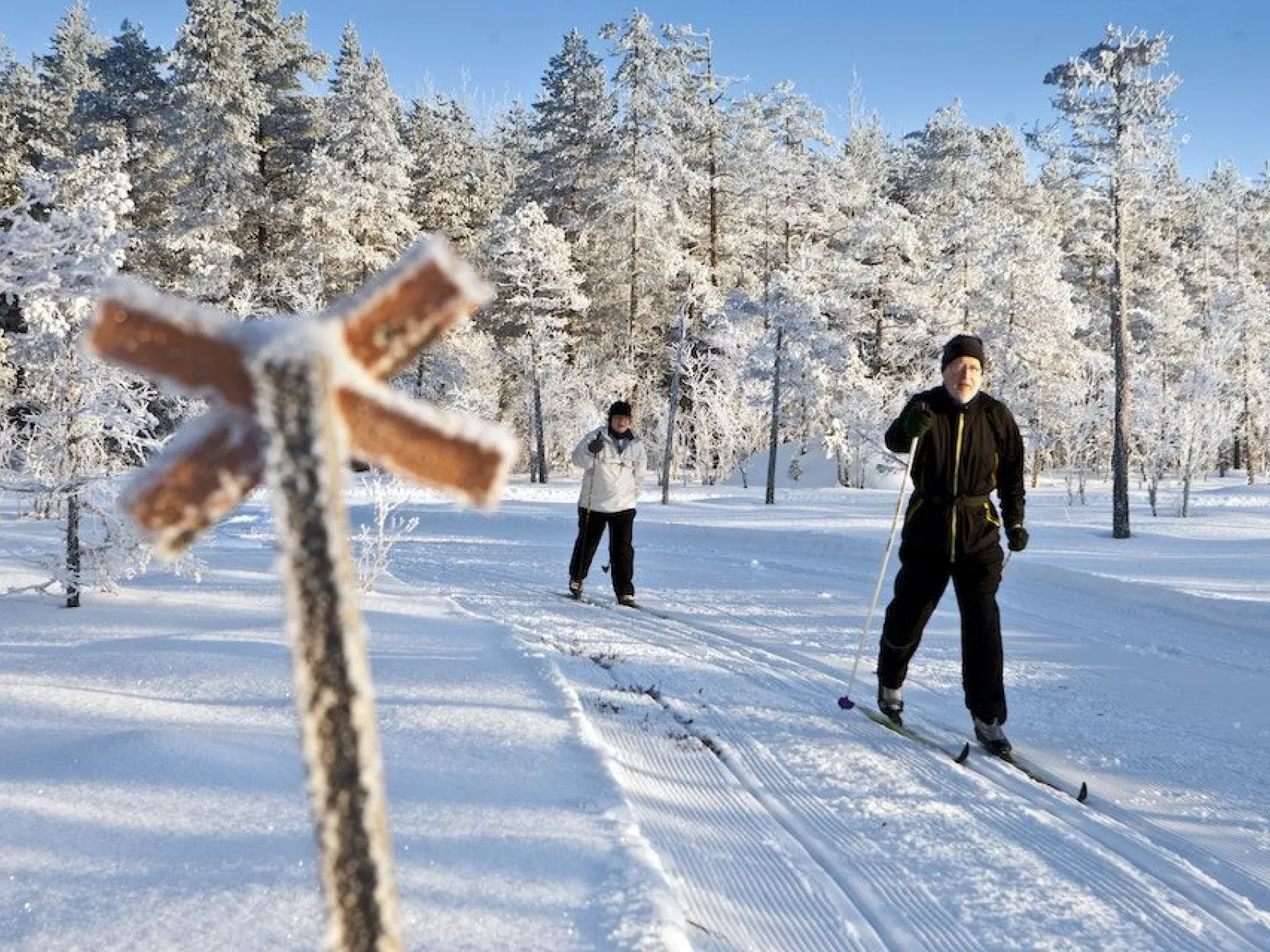 Vinterpaket på Hallsta med Sollefteå Camping