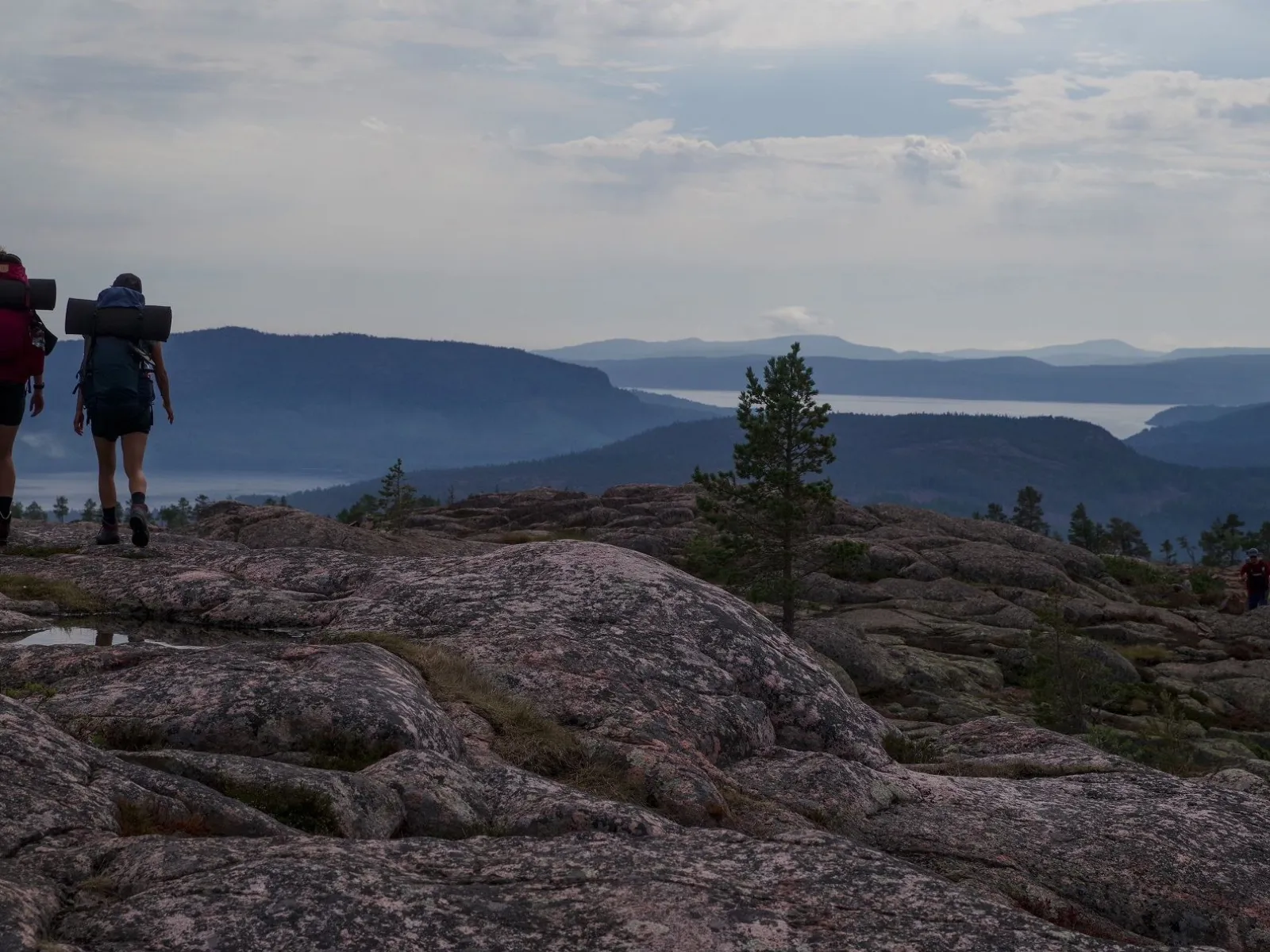 Skuleskogens Nationalpark
