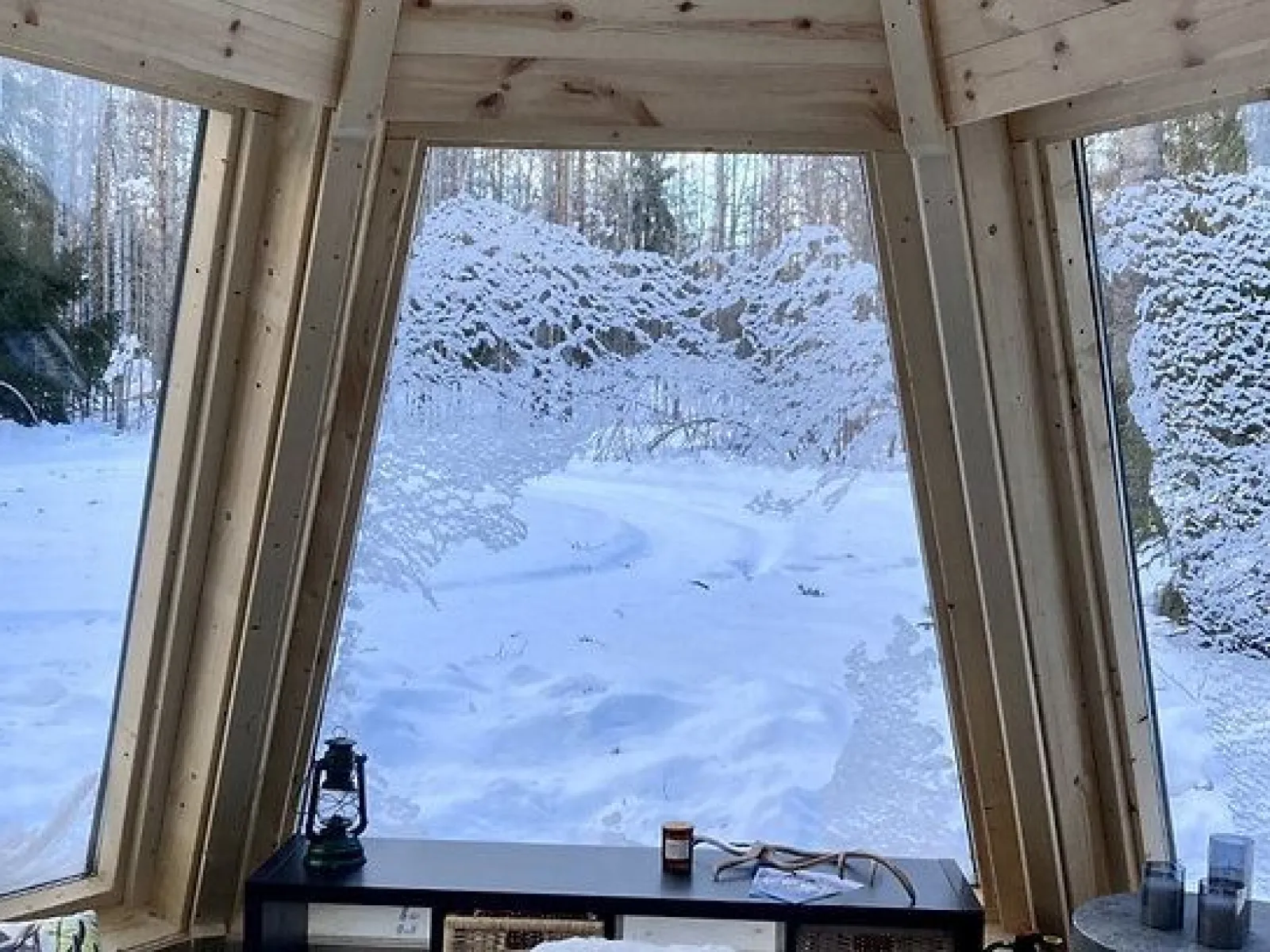 Northern Lights cabin or a cozy Nordic cabin at Farm Backsjön