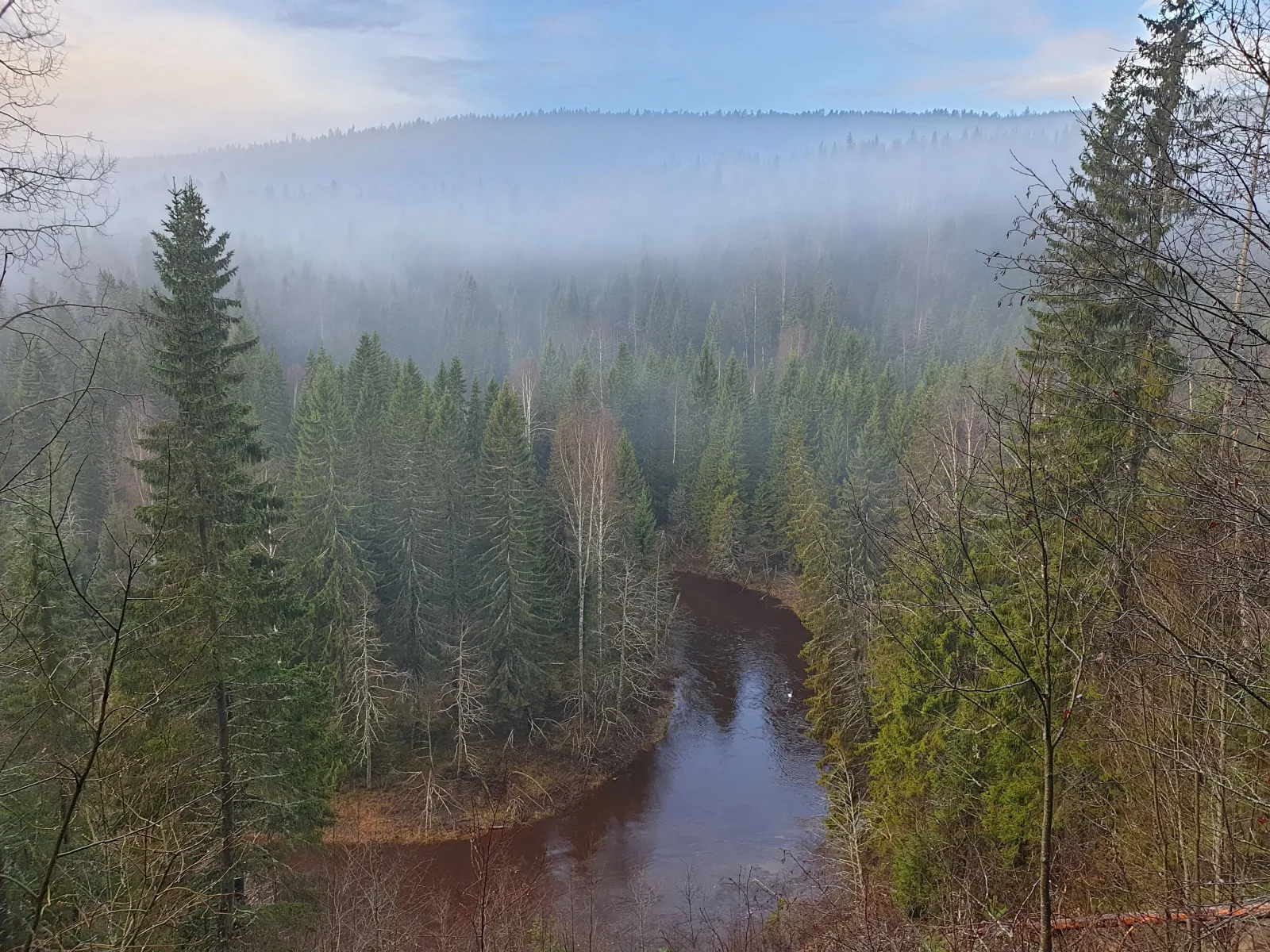 Mjällådalens nature reserve