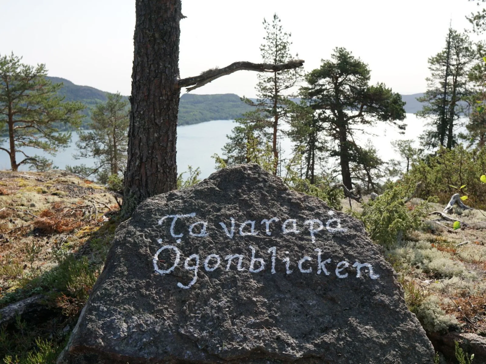 Per Olsbo