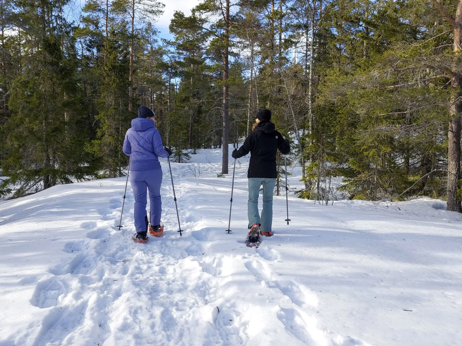Activities at Höga Kusten Vildmark
