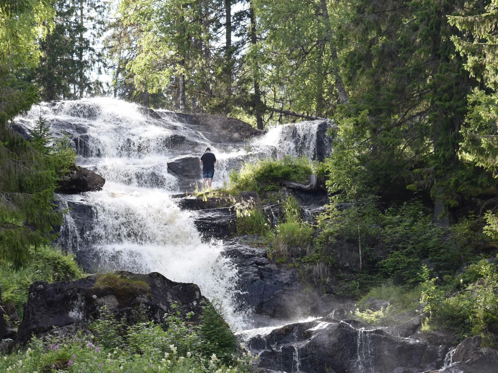 Activities at Höga Kusten Vildmark