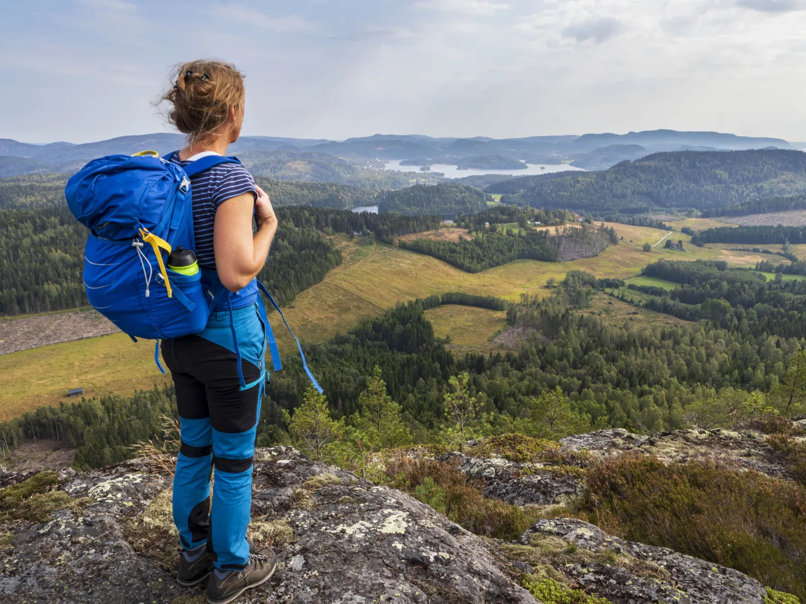 Dalsbergets topp