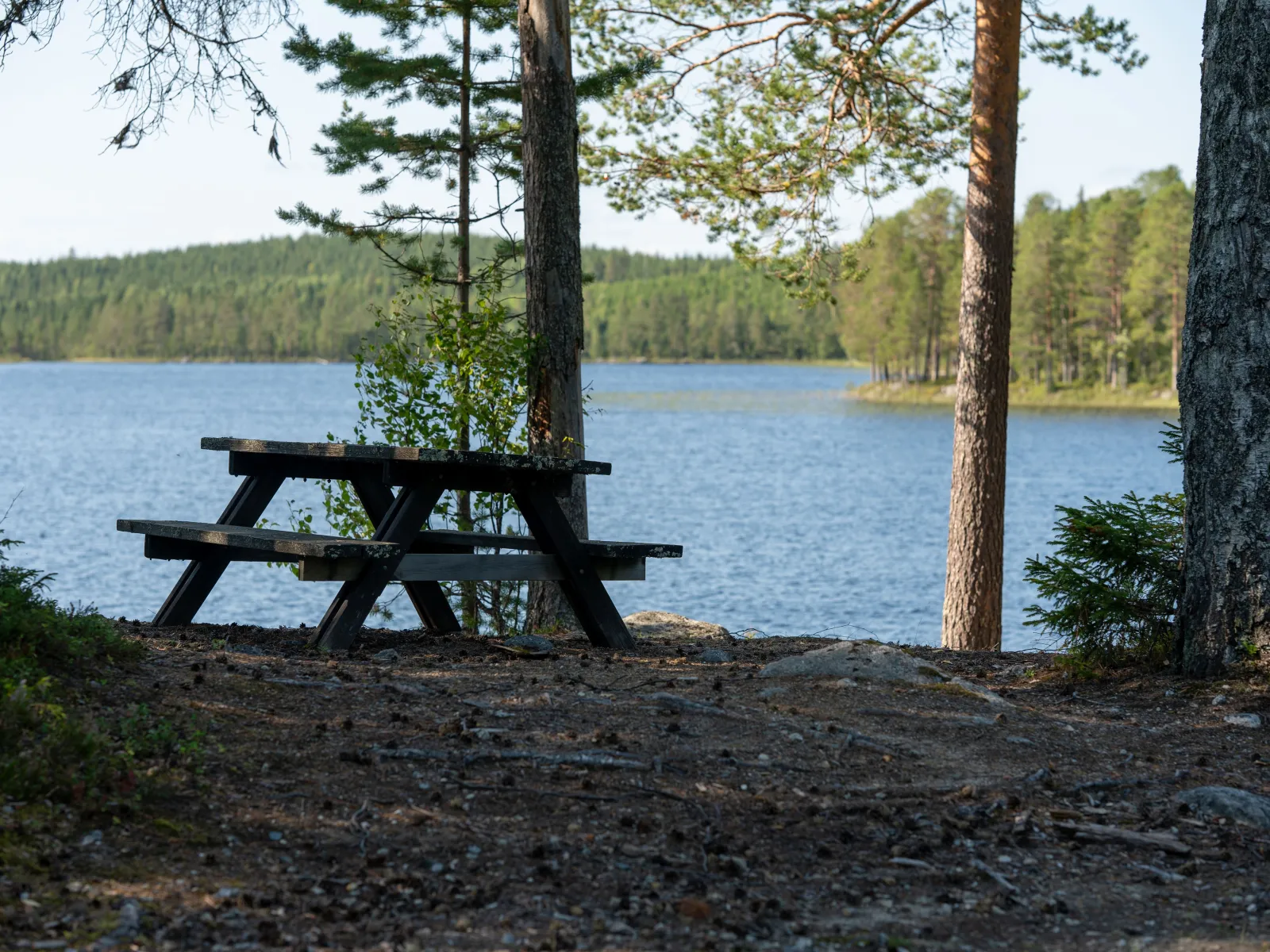 Kärrsjögårdens stugby 