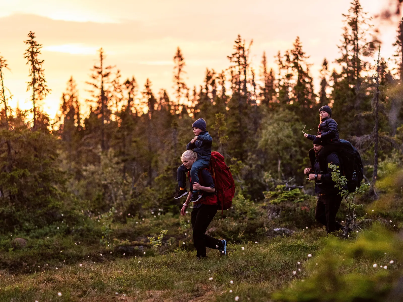 Höstvandring i Nordingrå