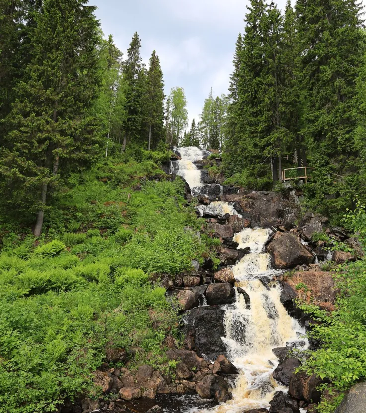 Västanåfallet Nature Reserve