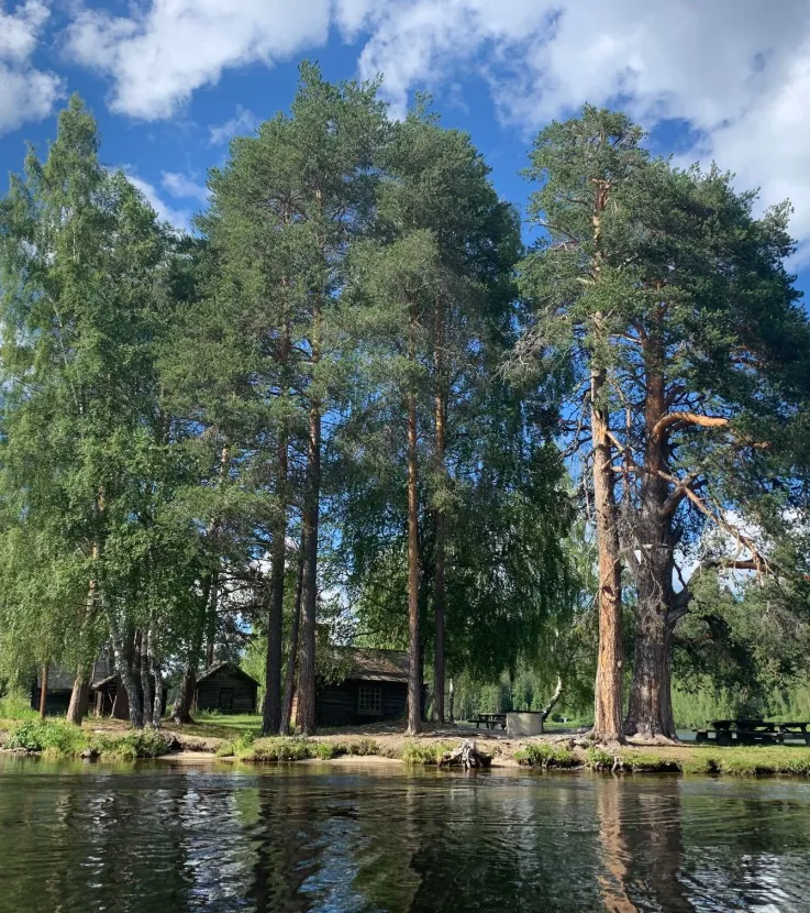 Granvågsniporna
