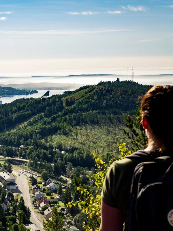 Utsikt från Åsberget