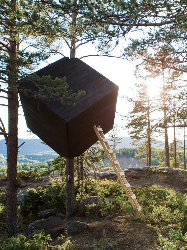 Arknat The Tree Cube Höga Kusten