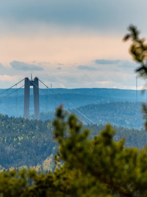 skymt av högakustenbron i fjärran