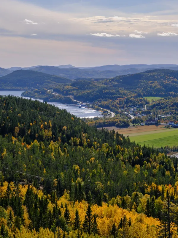 view over vibyggerå