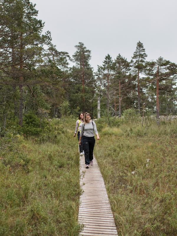 hiking in Skuleskogen National Park