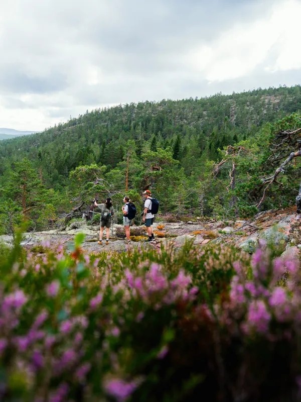 personer blickar ut över landskapet 