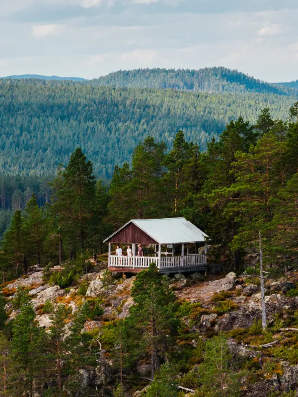 Försommar Höga Kusten