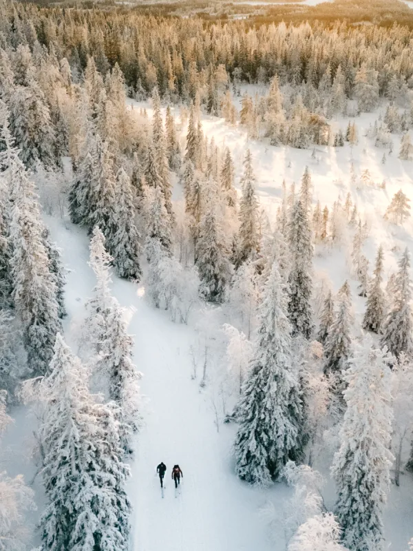 Skidåkning i Anundsjö vilkdmark