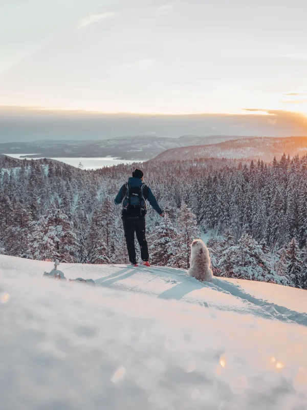 vintervy med man och hund