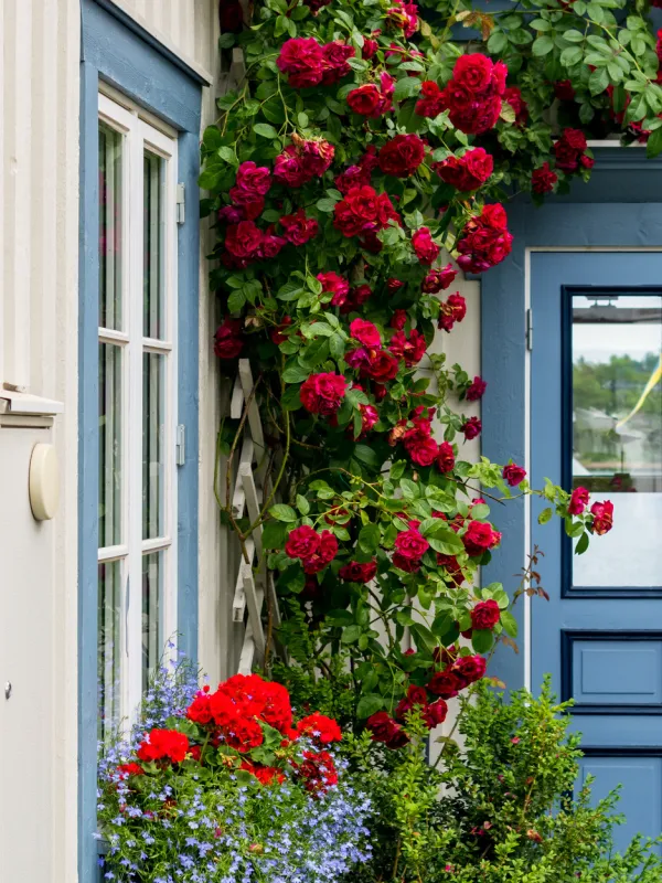Hostels